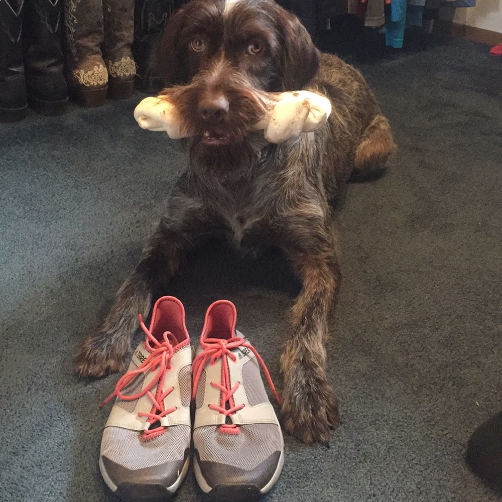 Adidas Climacool Terrex Shoes
